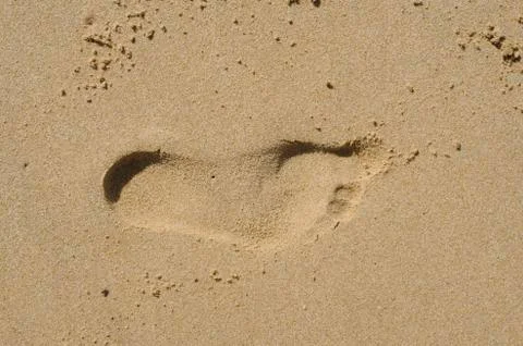 Footprints on the shore. Stock Photos