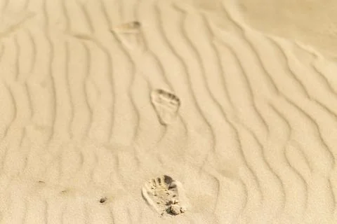 Footprints in smooth sand showcasing tranquil beach patterns during bright .. Stock Photos
