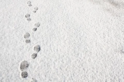 Footprints in the snow background Stock Photos
