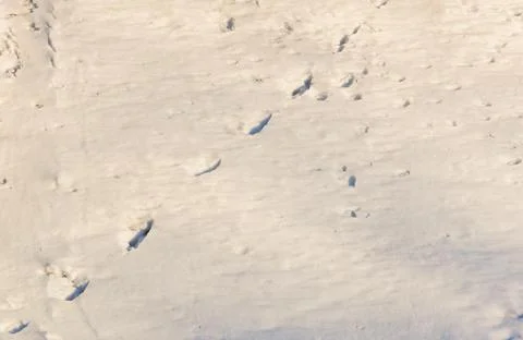 Footprints In The Snow Background Stock Photos