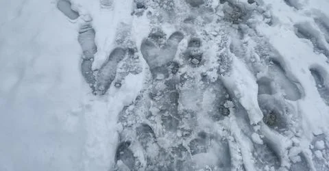Footprints in snow create an artistic pattern on a winter trail, showcasing Stock Photos
