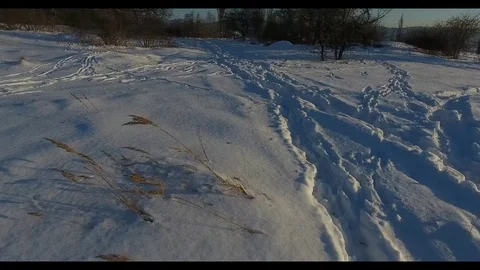Footprints in the snow Stock Footage 73150882