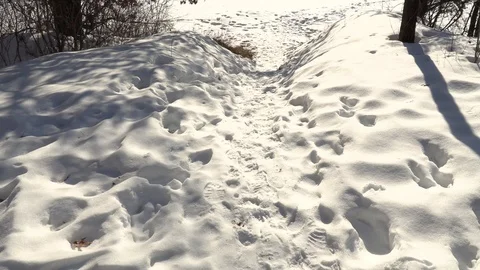 Footprints in the Snow Video stock 124675024