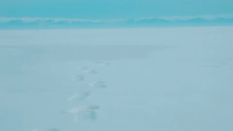 Footprints in snow Stock Footage 143418351