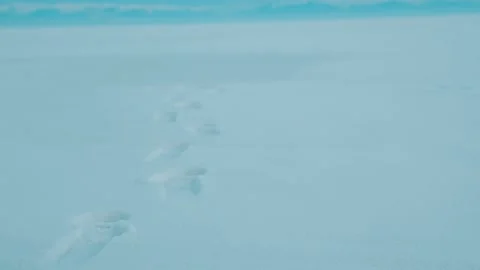 Footprints in snow Stock Footage 143418378