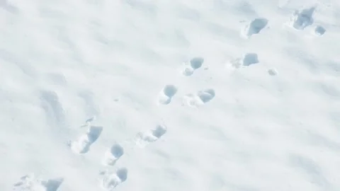 Footprints on snow. Stock Footage 168611945