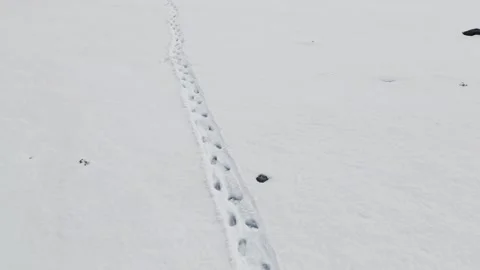 Footprints on snow Stock Footage 292834921
