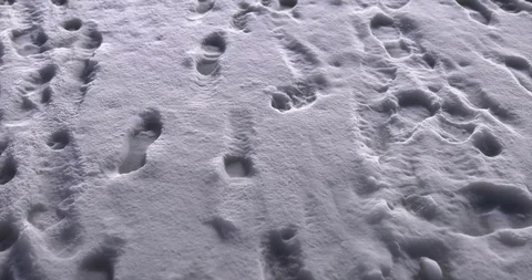 Footprints in the snow loop 스톡 동영상 108564954