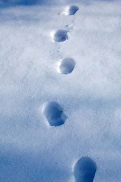 Footprints in the snow Stock Photos