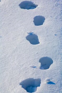Footprints in the snow Stock Photos