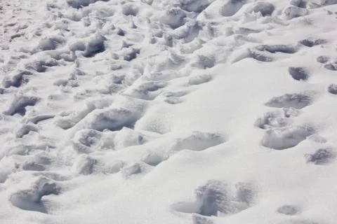 Footprints in the snow Stock Photos
