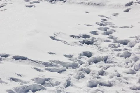 Footprints in the snow Stock Photos