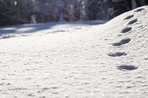 Footprints in snow Stock Photos