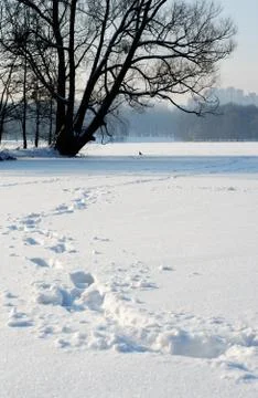 Footprints in the snow Stock Photos