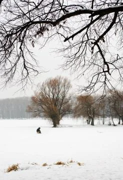 Footprints in the snow Stock Photos