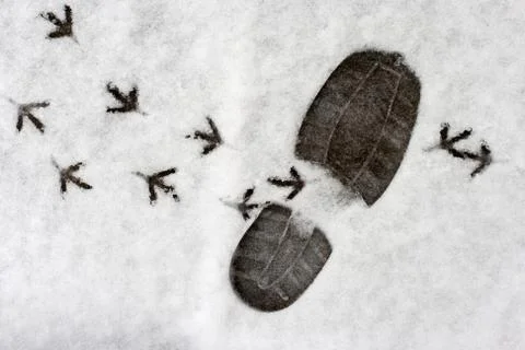 Footprints in a snow Stock Photos