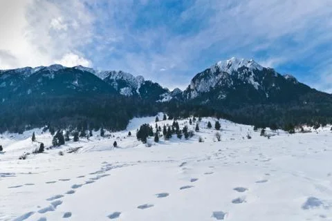 Footprints in the snow Stock Photos