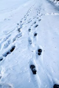 Footprints in the snow Stock Photos