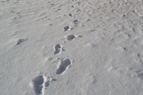 Footprints in the Snow. Stock Photos