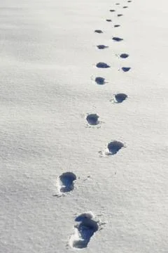 Footprints on snow Stock Photos