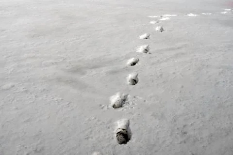 Footprints in the snow 写真素材