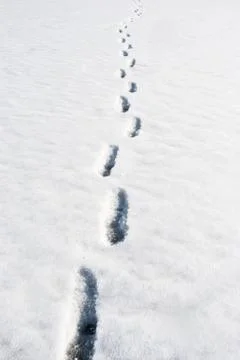 Footprints in the snow Stock Photos