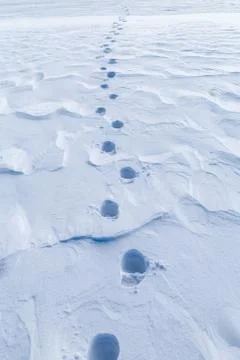 Footprints in the snow Stock Photos