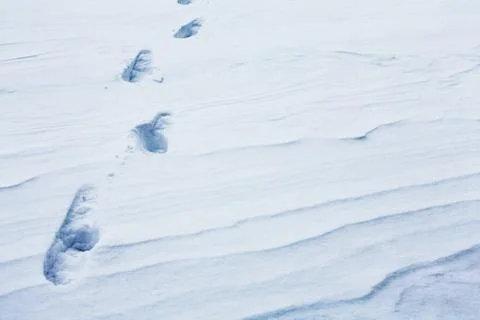 Footprints in the snow Foto stock