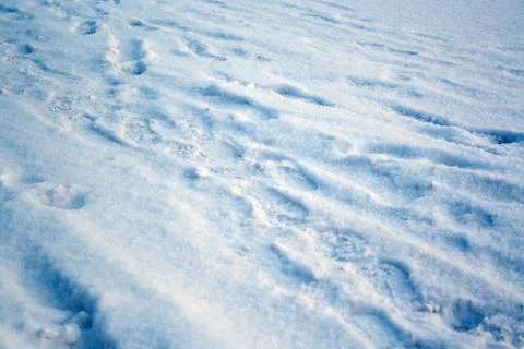 Footprints on snow Stock Photos