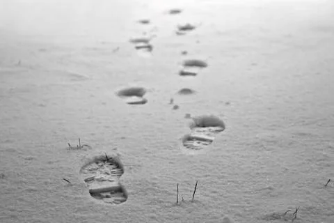 Footprints in the snow Stock Photos