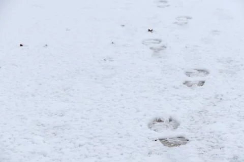 Footprints on the snow Stock Photos