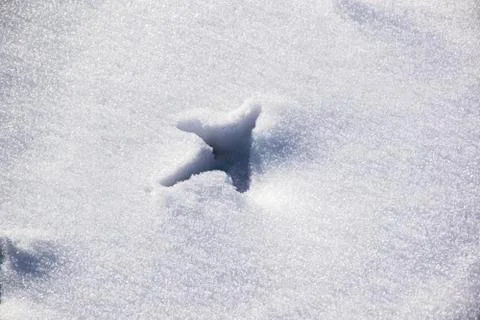 Footprints in the snow Stock Photos