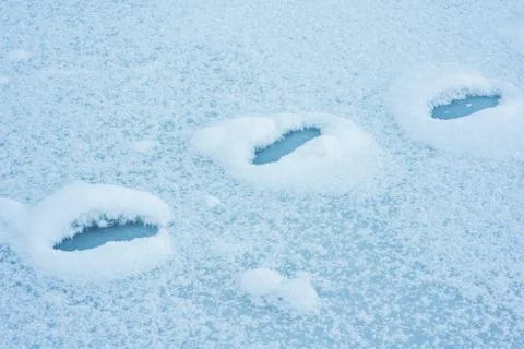 Footprints in snow Stock Photos