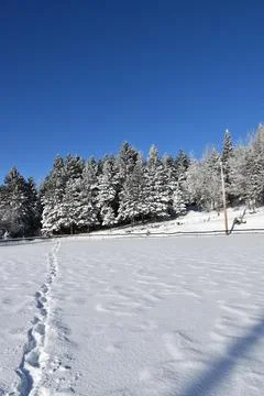 Footprints in the snow Stock Photos