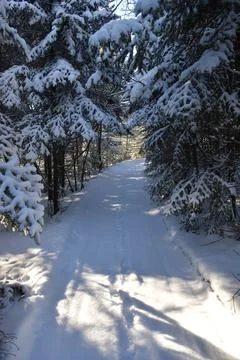 Footprints in the snow Stock Photos