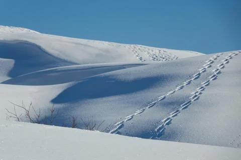 Footprints in snow Stock Photos