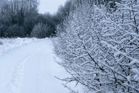 Footprints in the snow 写真素材