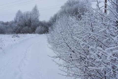 Footprints in the snow 库存照片
