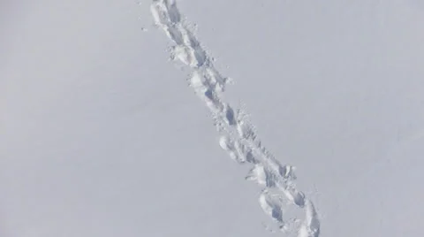 Footprints in the Snow, Tracking shot HD Stock Footage 32397475