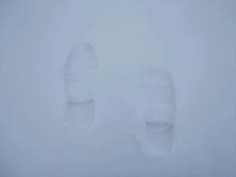 Footprints in the snow. Walk in winter. Stock Photos