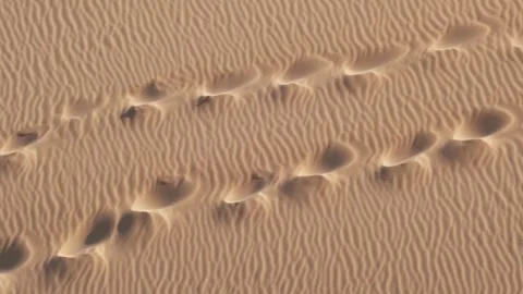 Footprints in soft sand forming textured pattern on beach or desert surface, Stock Footage 334148104