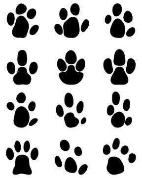 Footprints of tapir Stock Illustration