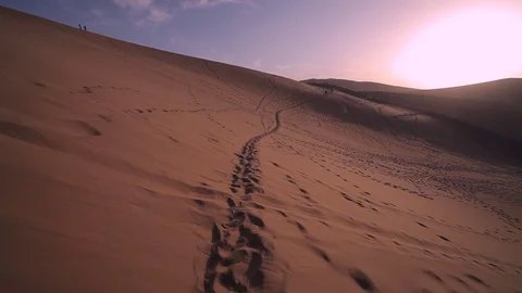 Footprints Traces in Desert Stock Footage 77094009