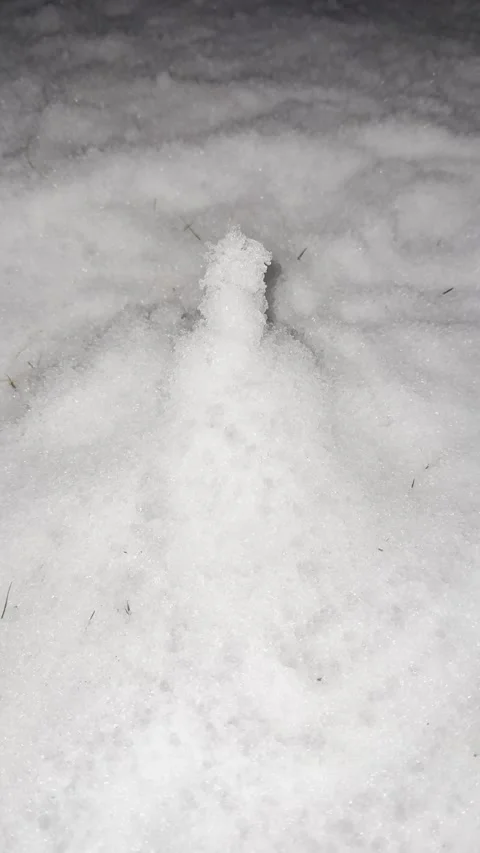 Footprints Trail Through Fresh Snow Stock Footage 344601239