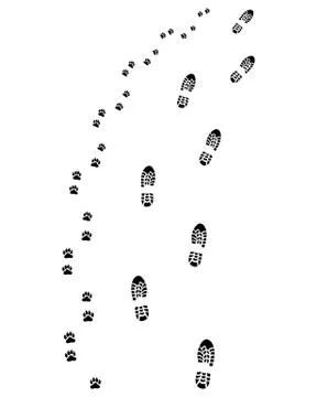 Footprints, turn right Stock Illustration