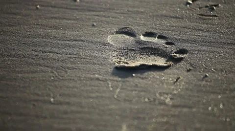 Footprints walking on sand.  Video stock 44618151