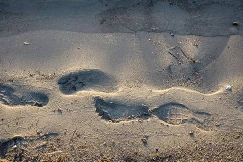 Footprints on the water's edge Stock Photos