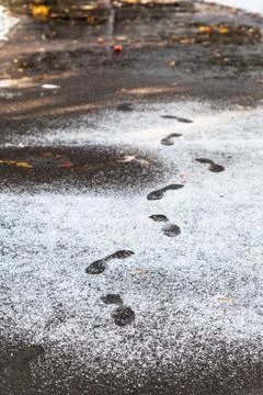Footprints in wet path covered by first snow Foto stock