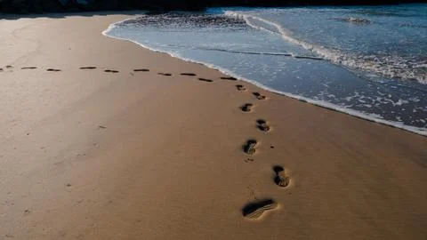 Footprints in wet sand. Stock Photos