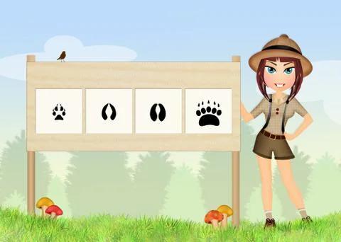 Footprints of wild animals Stock Illustration